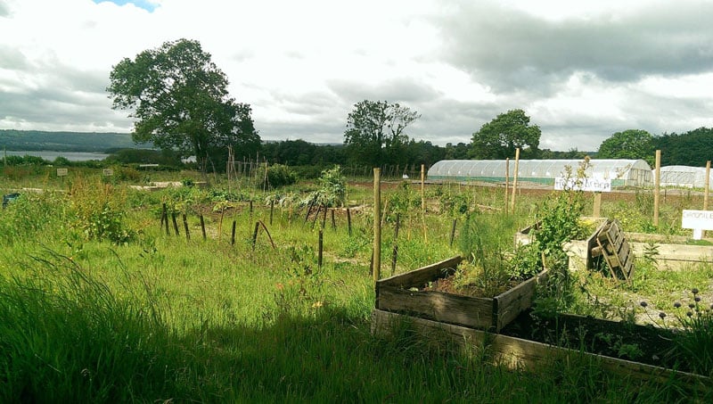 THE COMMUNITY FARM X SUSTAINABLE KITCHENS 1920
