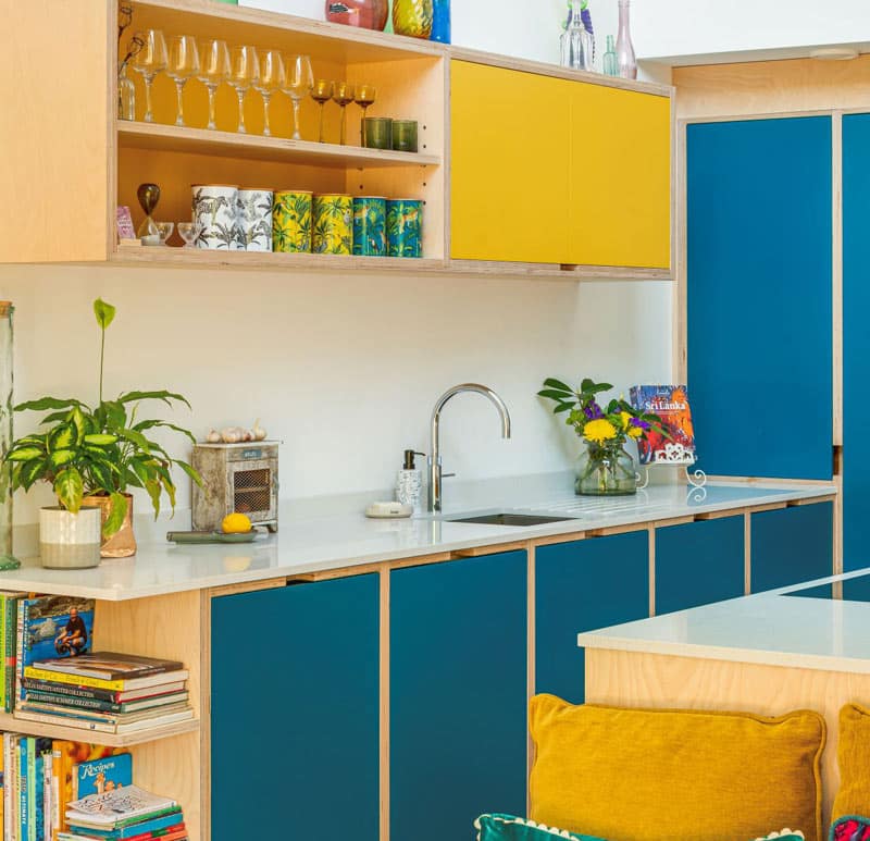 bold colourful kitchen