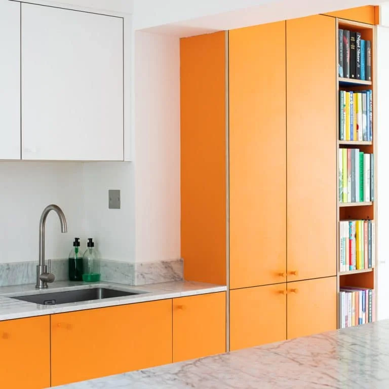 Honest Kitchens Orange Kitchen