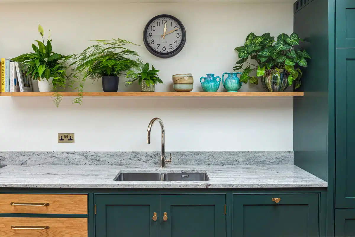 7 Best Kitchen Plants to Bring Your Kitchen to Life