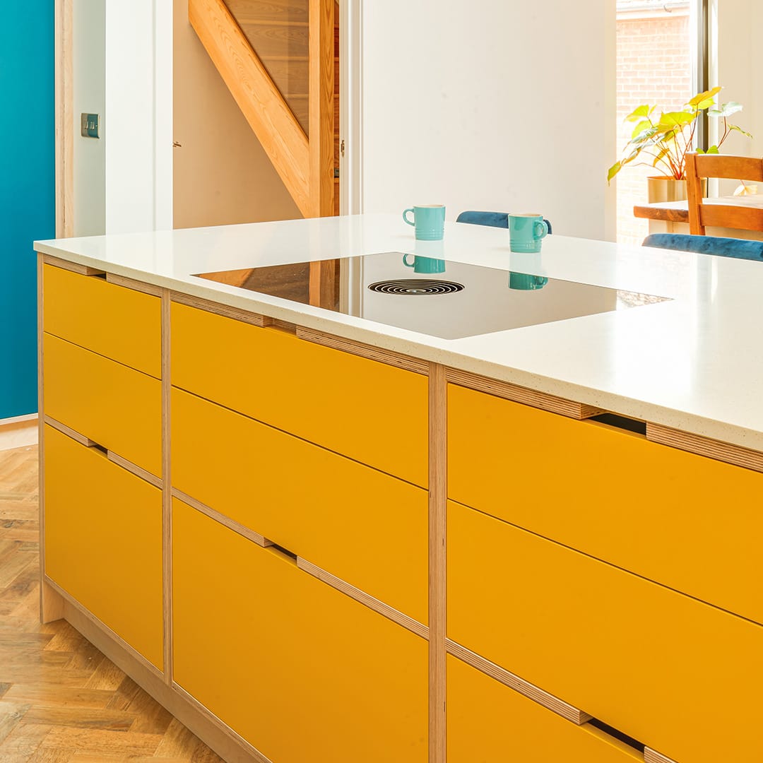 yellow montpelier